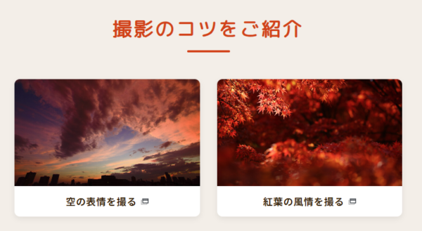 αcafe AUTUMN FESTIVAL 2025