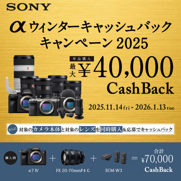 αウィンターキャッシュバックキャンペーン2025