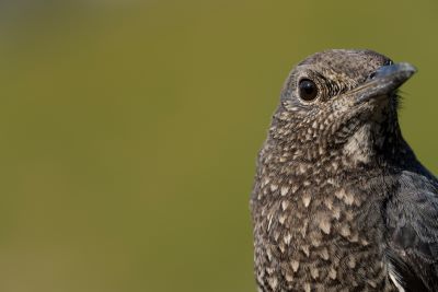 山田芳文の写真講座