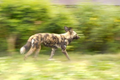 小川晃代の写真講座