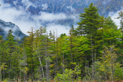高橋 良典 先生