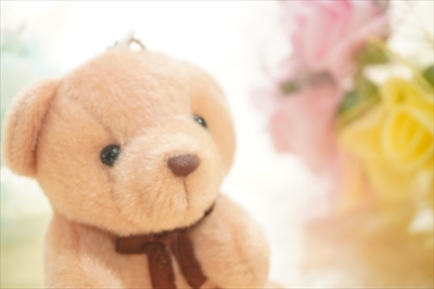 テーブルフォト