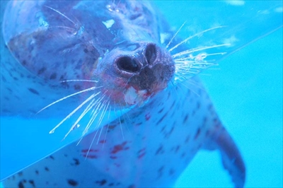 山本まりこの写真講座