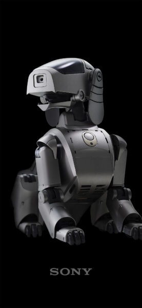 My Sony 壁紙 2025年12月 AIBO