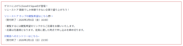 ストリートファイター6 ソニーストア カップ