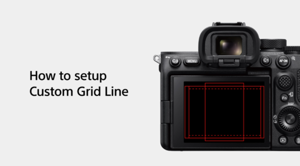 α1 カスタム・グリッドライン 有期限ライセンス