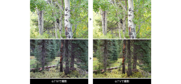 α7 V レポート