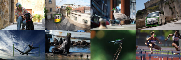 α7V α7IV α1II 徹底比較