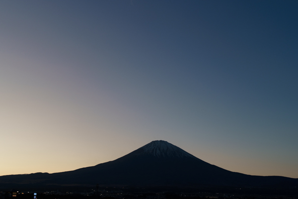 新春 運だめしフェア
