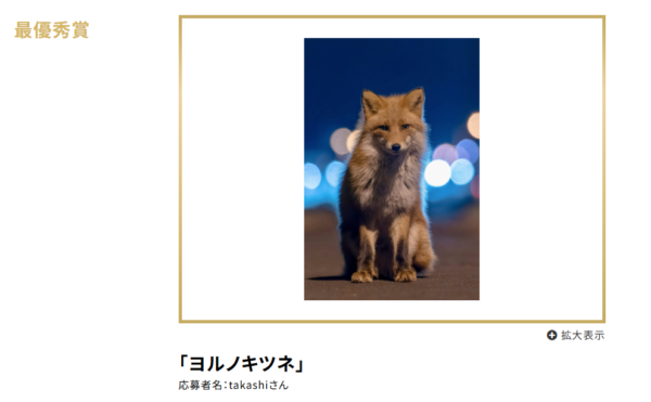 月例オープンフォトコンテスト 第58回 結果発表