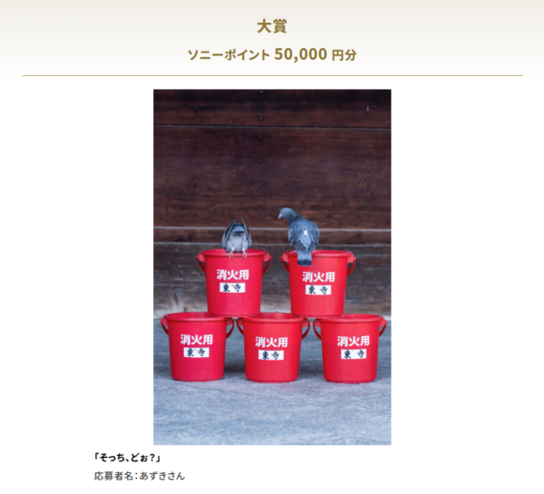 ソニーオープンコンテスト 野鳥フォト&ムービーコンテスト2025 結果発表