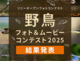 ソニーオープンコンテスト 野鳥フォト＆ムービーコンテスト2025 結果発表