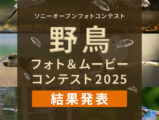ソニーオープンコンテスト 野鳥フォト&ムービーコンテスト2025 結果発表
