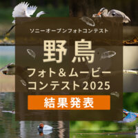 ソニーオープンコンテスト 野鳥フォト＆ムービーコンテスト2025 結果発表