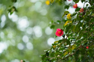 高橋良典の写真講座
