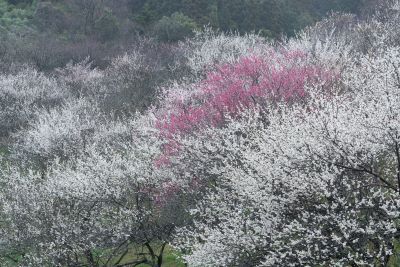 高橋良典の写真講座