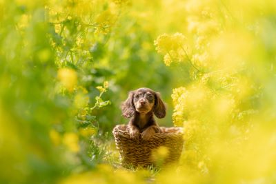 小川晃代の写真講座