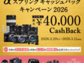 ソニー カメラ キャッシュバック 2026