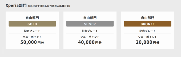 第15回スペシャルコンテスト