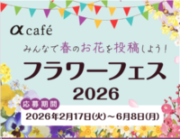 αcafe みんなで春のお花を投稿しよう！フラワー フェス2026