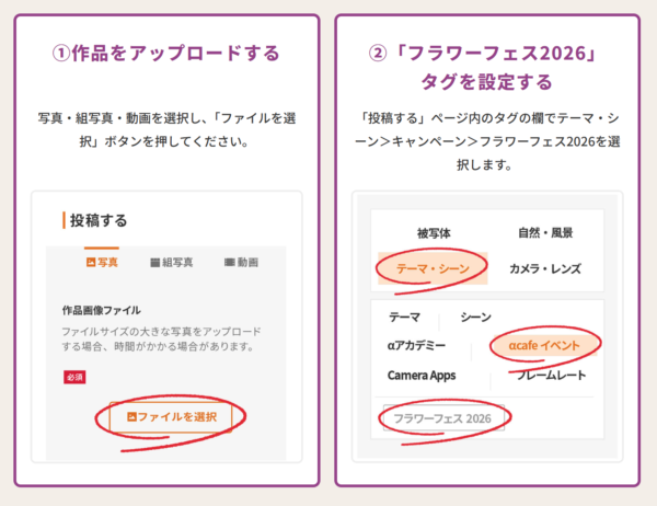 αcafe みんなで春のお花を投稿しよう!フラワー フェス2026