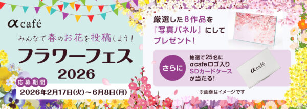 αcafe みんなで春のお花を投稿しよう!フラワー フェス2026