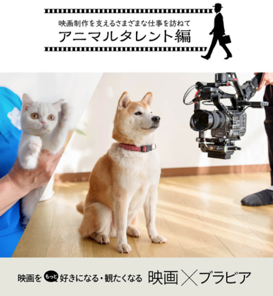 アニマルタレント 映画