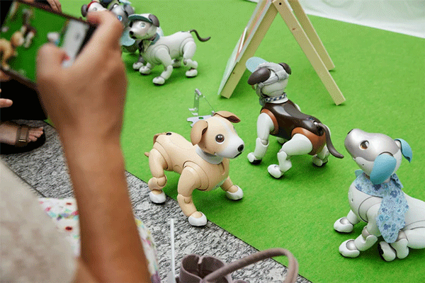 My aibo アップデート