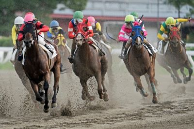 坂井田富三の写真講座 動体撮影、大井競馬場で、止める、流す