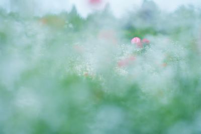 わたなべももの写真講座