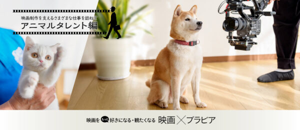 アニマルタレント 映画