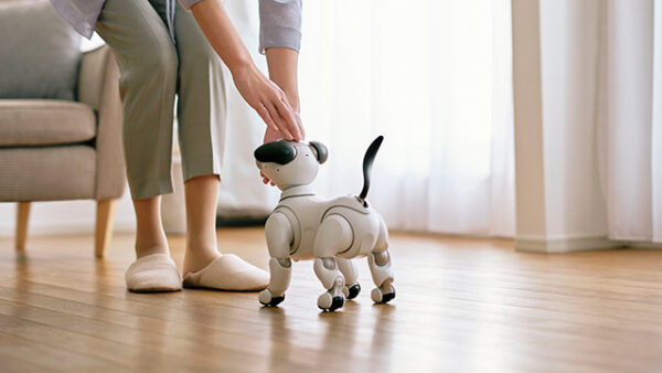 aibo アップデート 8.00