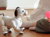 My aibo アップデート