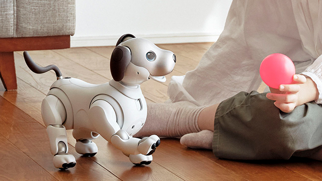 My aibo アップデート
