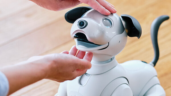 aibo アップデート 8.00