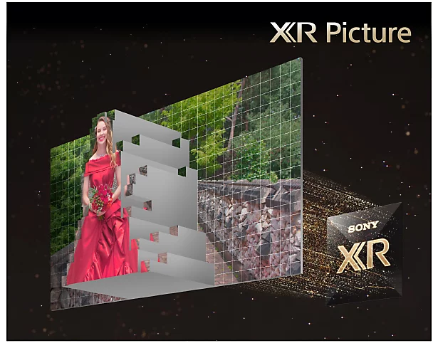 BRAVIA 9 価格改定