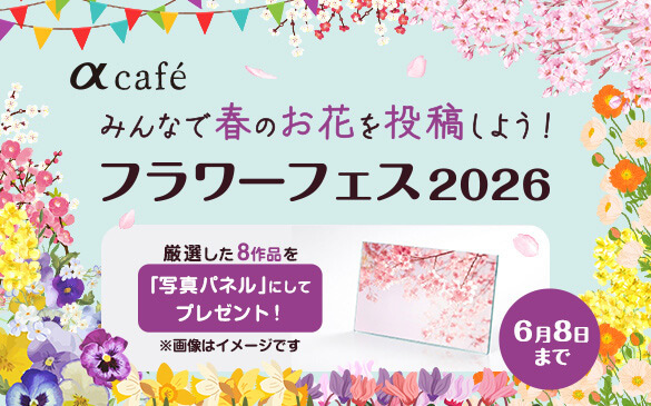 フラワーフェス2026