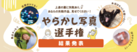 αcafe やらかし写真選手権 結果発表