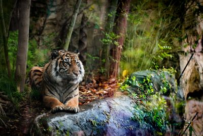 小川晃代の写真講座