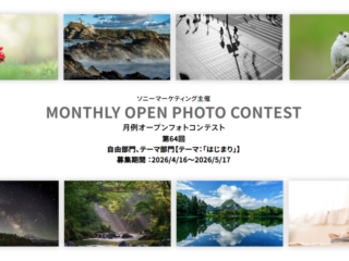 ソニー 月例オープンフォトコンテスト