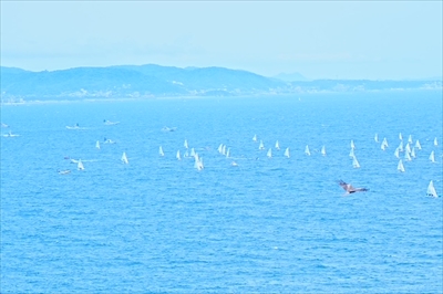 山本まりこの写真講座