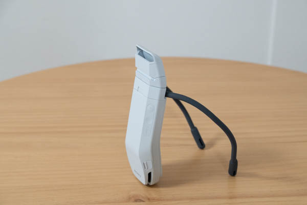 REON POCKET PRO Plus レビュー