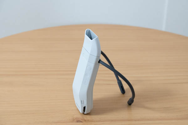 REON POCKET PRO Plus レビュー