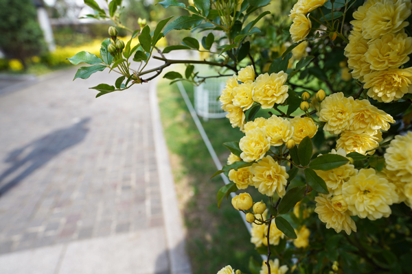ゴールデンウイーク 営業日 ナカムラ電器