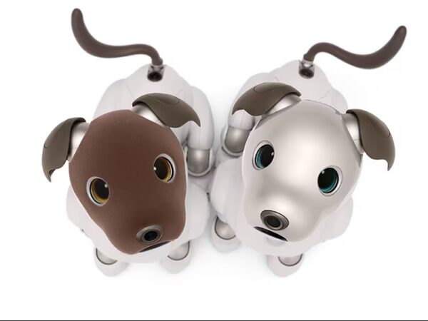 aibo ココアシフォン エディション