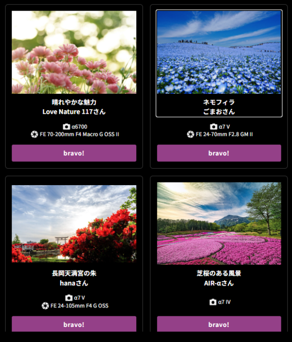 フラワーフェス2026