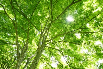 高橋良典の写真講座