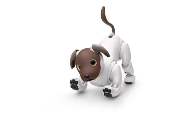 aibo ココアシフォン エディション