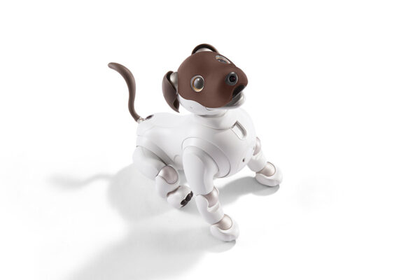 aibo ココアシフォン エディション