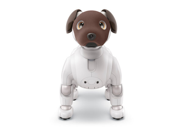 aibo ココアシフォン エディション